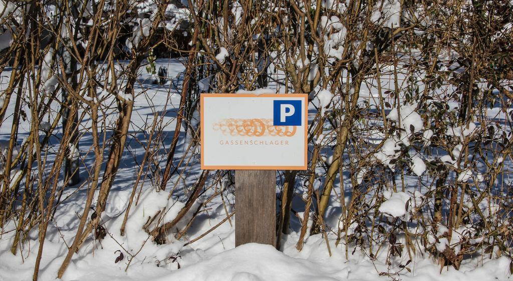 Riedz Apartments Innsbruck- Zentrales Apartmenthaus Mit Gruener Oase Εξωτερικό φωτογραφία