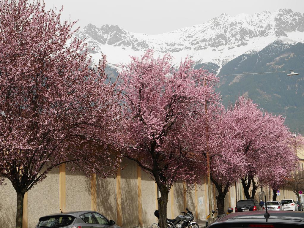 Riedz Apartments Innsbruck- Zentrales Apartmenthaus Mit Gruener Oase Εξωτερικό φωτογραφία